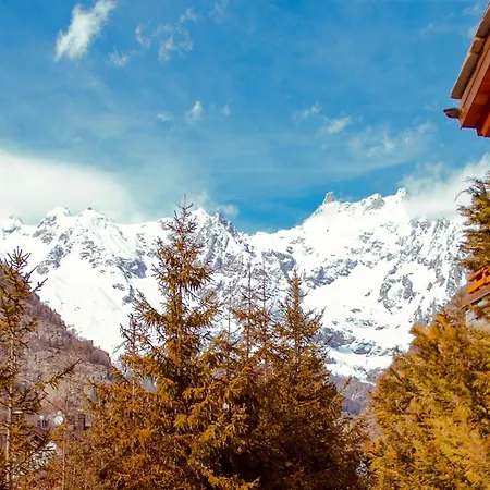 Maison De L'écureuil Appartement *